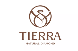 Justeps tư vấn phân quyền quản trị nội bộ cho Tierra