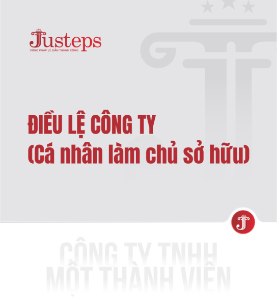 Điều lệ Công ty TNHH một thành viên (Cá nhân làm chủ sở hữu)