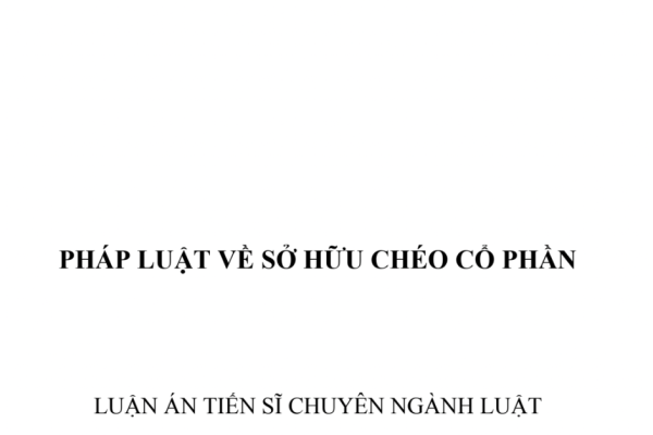 Pháp luật về sở hữu chéo cổ phần, Đại học Quốc gia TP.HCM, 2019