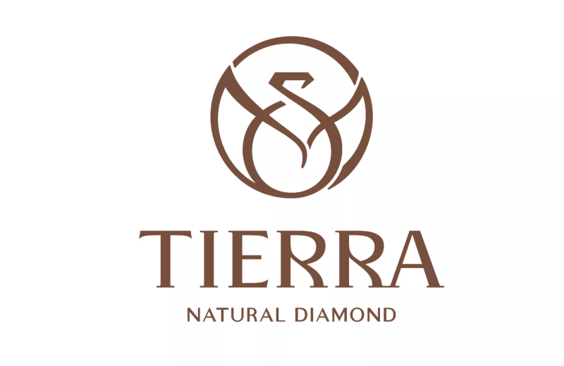 Justeps tư vấn phân quyền quản trị nội bộ cho Tierra