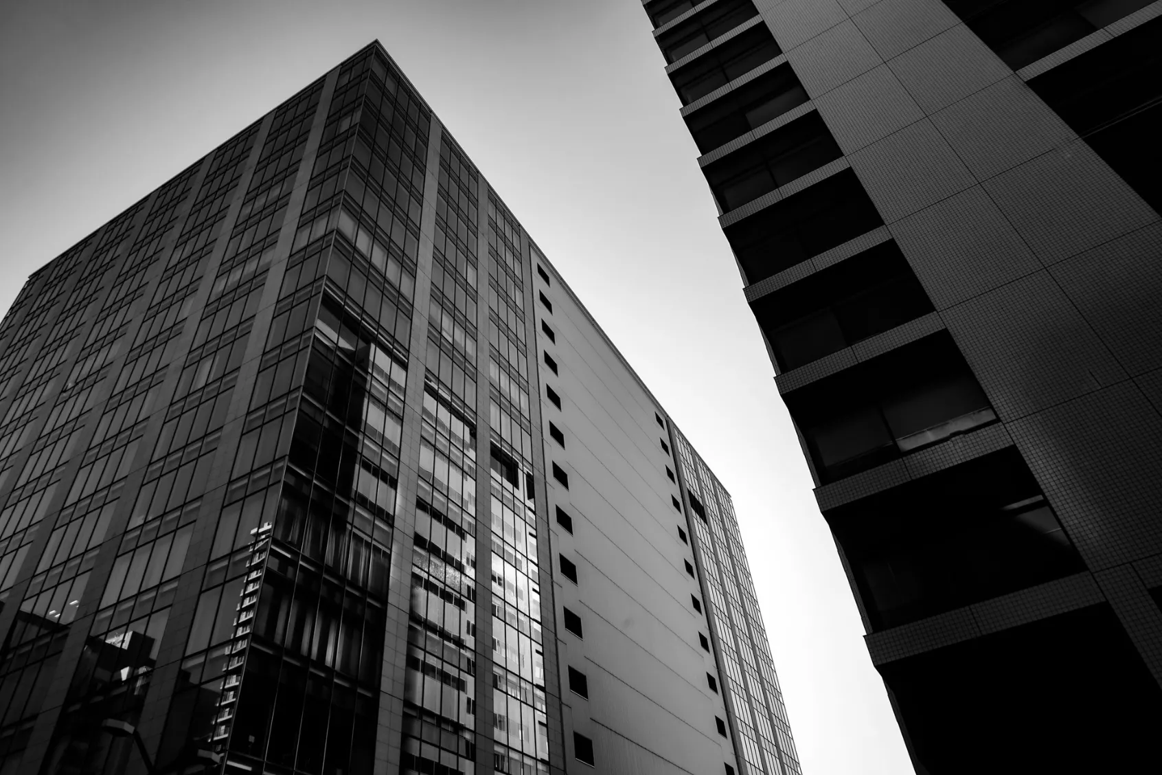 Thành lập công ty