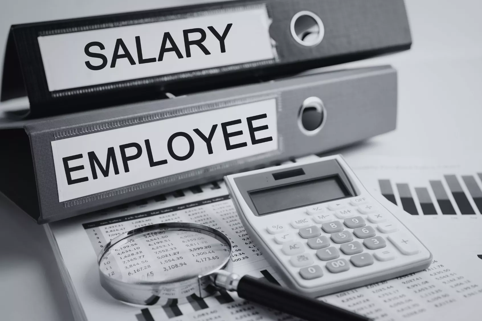 Dịch vụ tư vấn rà soát và xây dựng hệ thống nhân sự, tiền lương, bảo hiểm xã hội cho doanh nghiệp